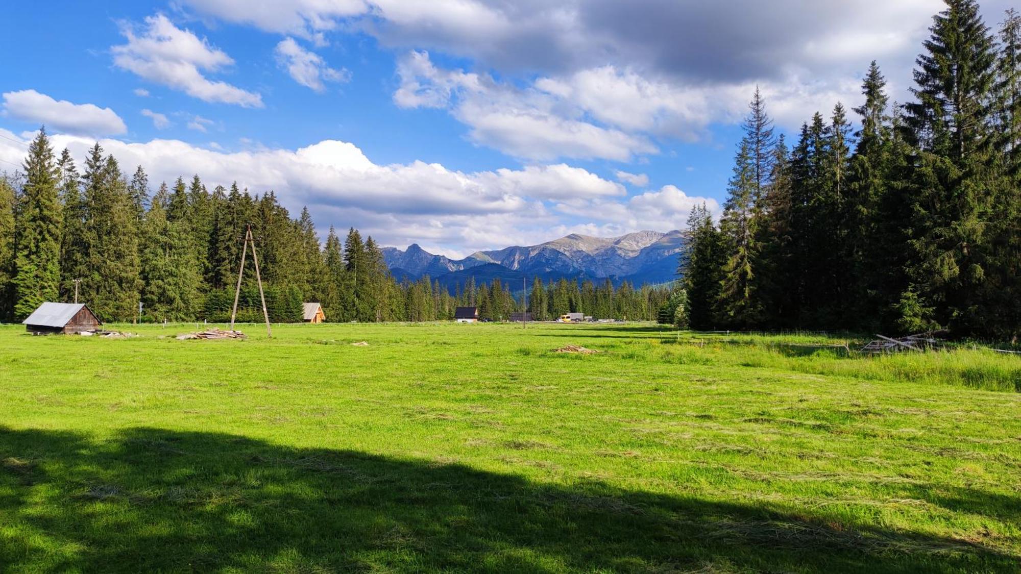 Domek Drewniany Krokus Witów Zewnętrze zdjęcie